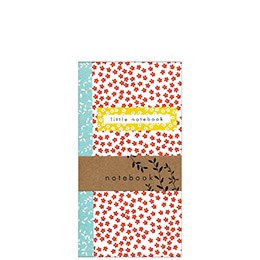 willow spine, notebook